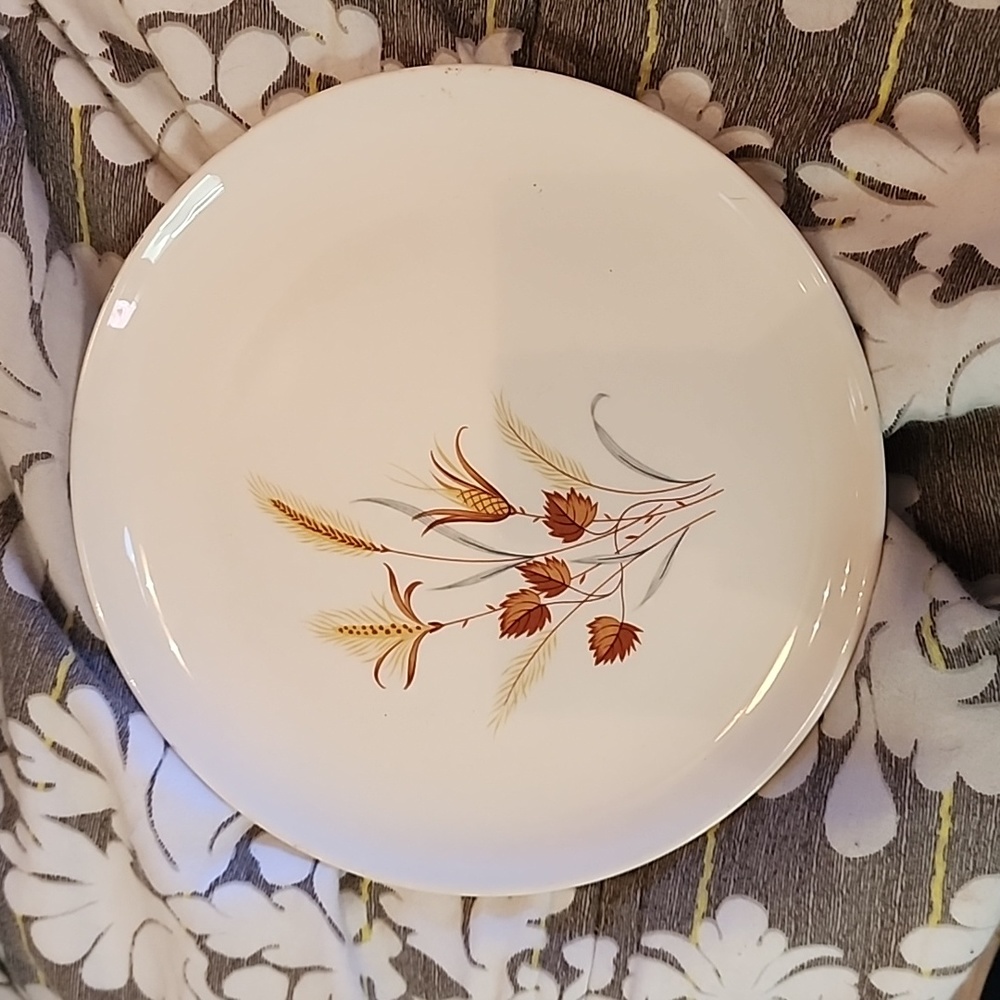 Autumn Harvest Dinner Plate, Ever Yours, Vintage Taylor Smith &Taylor